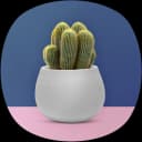 Home & Garden